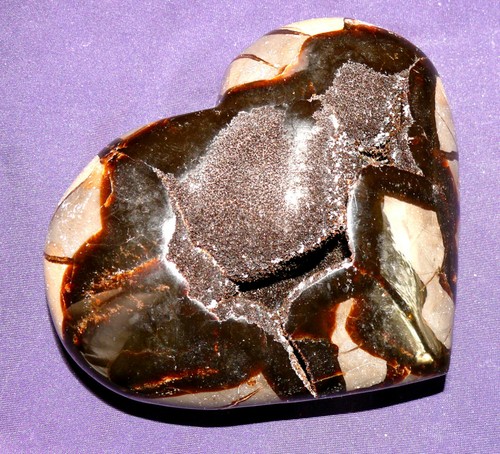 Cuore settario aperto con - cuore,, aperto,